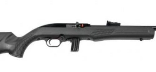 RS22 .22LR 18" FO Blk/Grey 10-rd