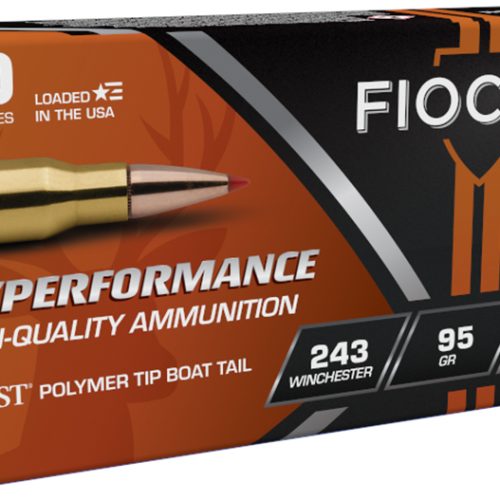 243 Win 95gr SST 20rd