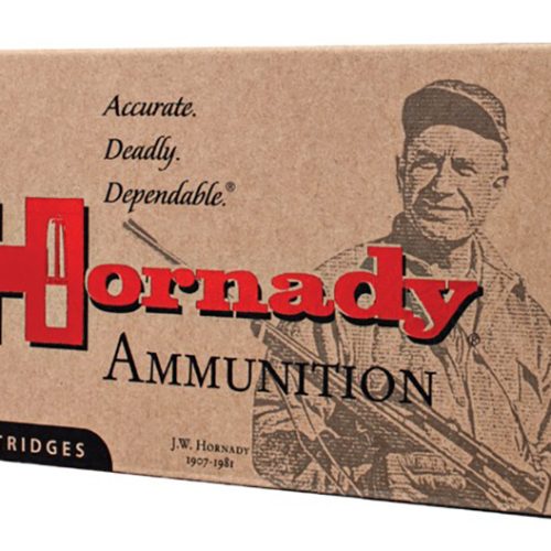 Custom 300Blk 110 Gr CX 20bx