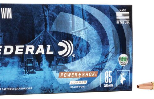 243 Win 85GR SP POWER-SHOK Copper