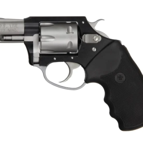 CHARTER ARMS PATHFINDER LITE 22MAG BLK/SS