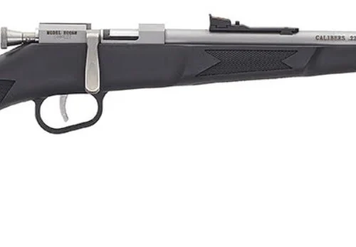 Mini Bolt Youth .22 S/L/LR SS/Blk 1rd