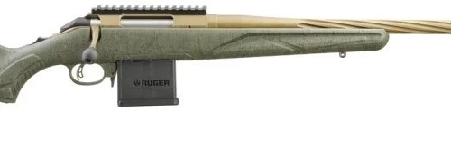 RUG AMER G2 PRED 223 22