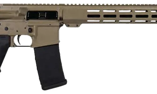 FDE AR 5.56 16" MLOK FDE 30rd