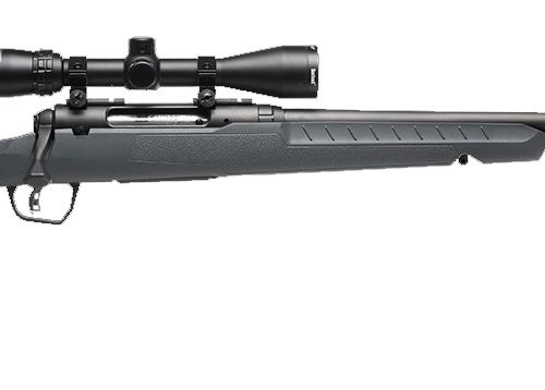 SAVAGE ARMS AXIS 2 CPT 223REM BL/GRY PKG