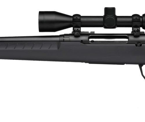 SAVAGE ARMS AXIS 2 6.5CR BL/GRY PKG LH