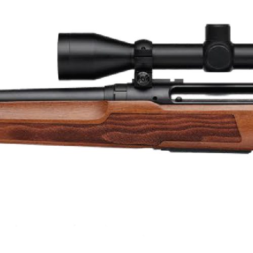 SAVAGE ARMS AXIS 2 22-250 WOOD 22" PKG LH