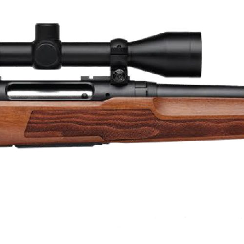 SAVAGE ARMS AXIS 2 223REM WOOD 22" PKG