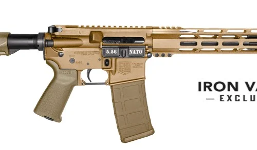 DB15 5.56 16" MLOK Brnze Pmag 30rd IVS