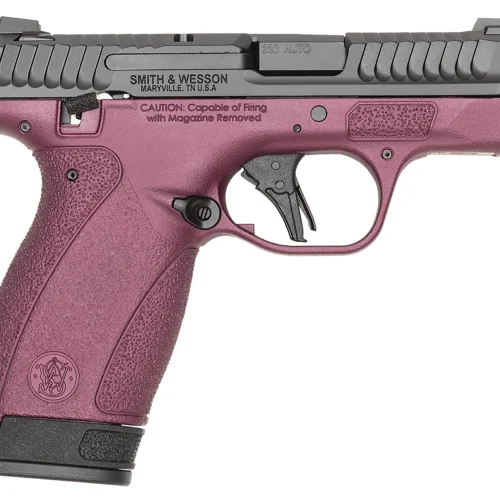 S&W BODYGRD 2.0 380ACP   14661 TS H-319 BCF