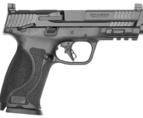 M&P 9 M2.0 9mm 4.25" TS Blk (2)10rd CA