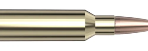 AWT TIPPED 6.5 CM SST 129gr 20/Bx