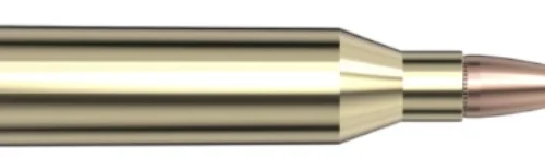 AWT TIPPED 243 Win SST 95gr 20/Bx