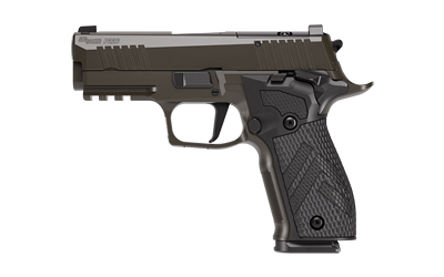 SIG P226 XLGN DA/SA 9MM 3.8 10RD GRY
