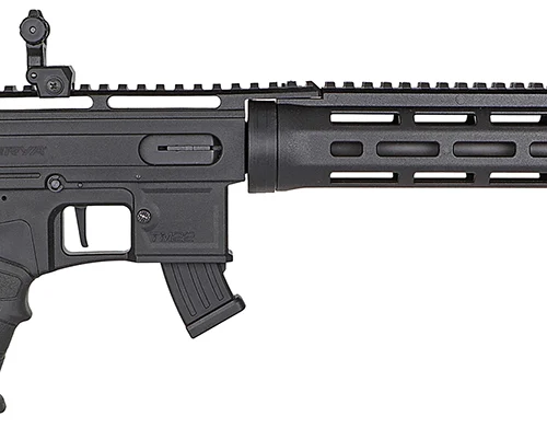 DERYA TM22.FLASH.18       TM22 FLASH 22LR 10RD 18"