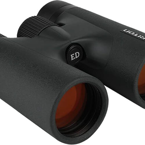 RIT 5 PRIMAL BINO 10X42 ED