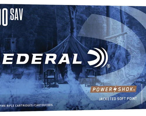 300 Sav 180GR SP POWER-SHOK 20RD