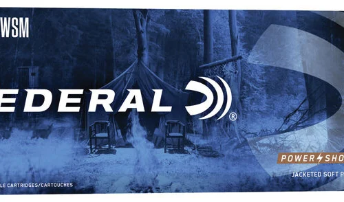 300WSM 180gr SP POWER-SHOK 20RD