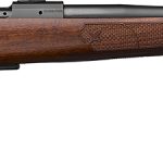 CZU CZ600 ST1 AMERI BA 223 WAL