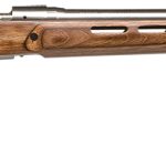 Savage Arms 18517 12 BTCSS 204 Ruger Caliber with 4+1 Capacity, 26" Barrel, Matte Stainless Metal Finish & Satin Brown Fixed Thumbhole Stock Right Hand (Full Size) Includes Detachable Box Magazine
