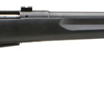 Savage Arms 19153 25 Walking Varminter 22 Hornet Caliber with 4+1 Capacity, 22" Barrel, Matte Black Metal Finish & Matte Black Synthetic Stock Right Hand (Full Size)