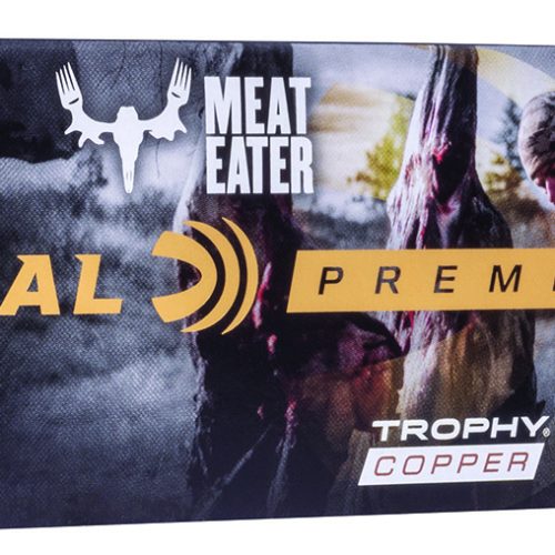 Federal P300WSMTC1 Premium  300WSM 180gr Trophy Copper 20 Per Box/10 Case
