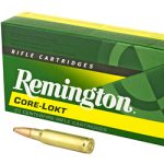 REM 308WIN 150GR PSP CL 20/200