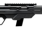 SAVAGE ARMS 64 PRECISION 22LR BL/BK 10+1