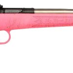 Crickett KSA2441 Gen2  Youth 22 LR 1rd 16.13" Stainless Single Shot Barrel, Stainless Steel Receiver, Pink w/Gold Webbing Fixed Synthetic Stock