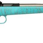 Crickett KSA2446 Gen2  Youth 22 LR 1rd 16.13" Stainless Single Shot Barrel, Stainless Steel Receiver, Blue w/Gold Webbing Fixed Synthetic Stock