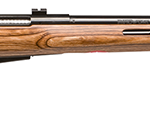 SAVAGE ARMS 25LV 17 HORNET BL/LAM THBHL