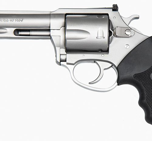 Char Pit Bull 40SW 4.2" SS/Adj Sghts 5rd