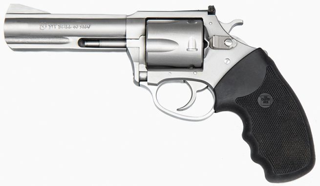 Char Pit Bull 40SW 4.2" SS/Adj Sghts 5rd