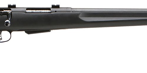 Savage Arms 19154 25 Walking Varminter Full Size 222 Rem 4+1 22" Matte Black Heavy Barrel, Matte Black Carbon Steel Receiver Drilled & Tapped, Matte Black Fixed Varmint Synthetic Stock, Right Hand