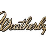 WEATHERBY VANGUARD BLACKHILLS 6.5CR HB