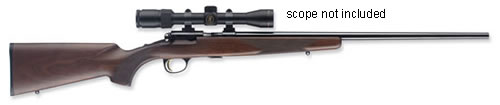 BROWNING T-BOLT 17HMR SPORTER BL/WALNUT