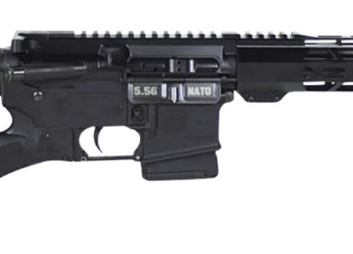 Diamondback DB1796K001 DB15 *NY Compliant 5.56x45mm NATO 16" 10+1 Black Thorsden Featureless GenII FRS-15 Stock Black Magpul MOE Grip Right Hand 12" M-Lok