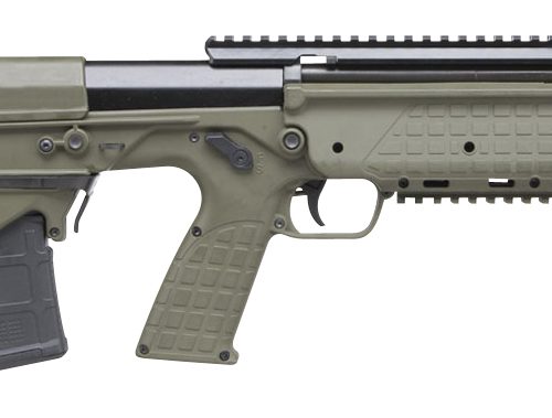 RDB Defender 5.56 16.1" Green 20rd