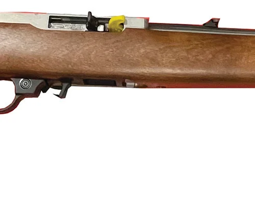 10/22 22LR  18.5" SS/Stained Beech 10rd
