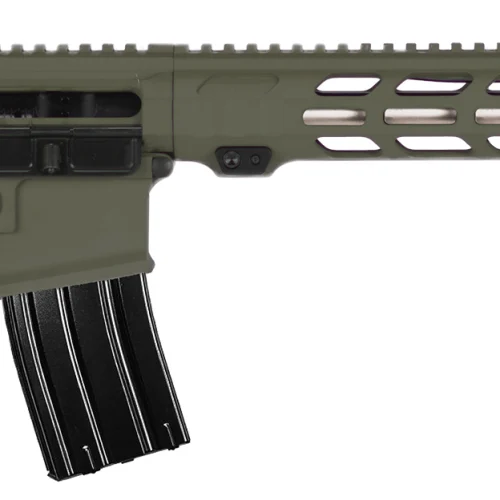 APF DMR 2.0 6MM ARC ODG 18 MLOK ACS 24RD