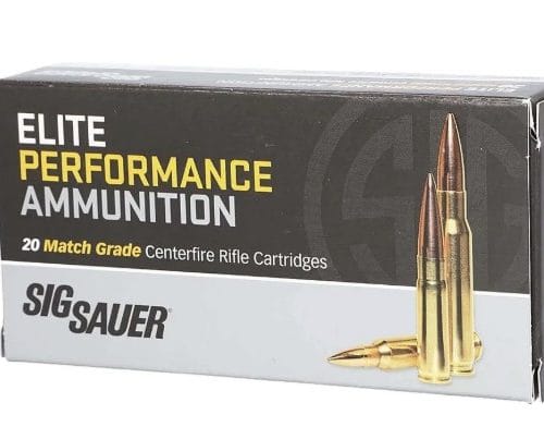 Elite 300 Blk 194gr Max Exp Subsonic 20/Bx