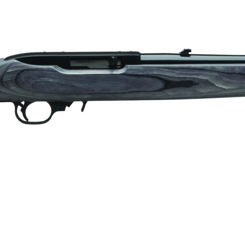 RUG 10/22 22LR SEMI BLK LAM