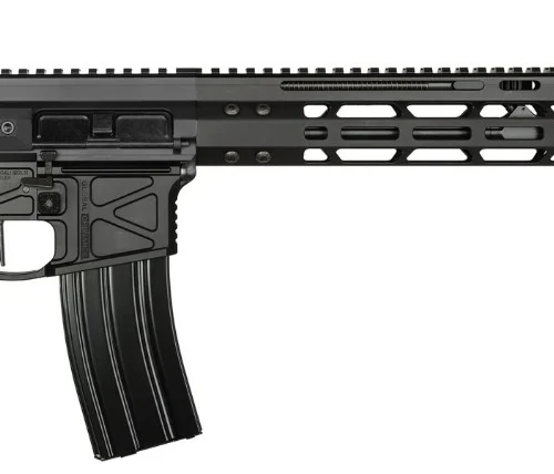 GO MONOLITH 5.56 10.5 A2 FH