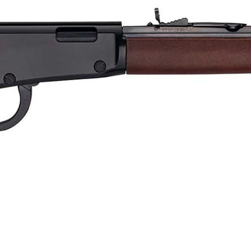 HENRY H1 FRONTIER 17HMR 20 13RD
