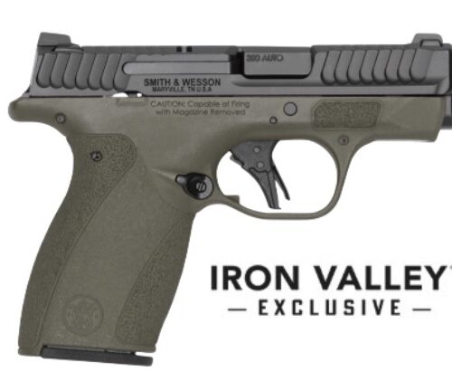 S&W Bodyguard 2.0 380ACP 2.75" NTS ODG 10/12 IVS