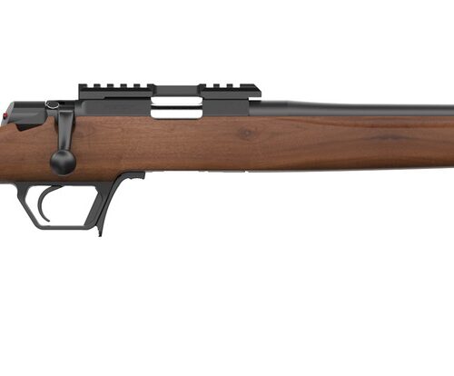 Retay USA ASD22-SWAL-16 Asend Hunter 22 LR 10+1 16" Black Heavy Barrel, Black Chrome Receiver w/Picatinny Rail, Turkish Walnut Fixed Stock