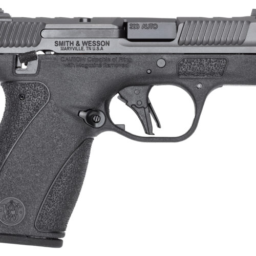 S&W BODYGRD 2.0 PC 14418 380 3.1     2X10R GRY/BLK
