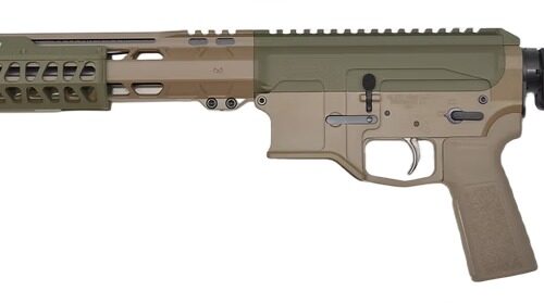 BILSON P2FCSFG20R1 BA15FCP 300BO    20R FDE/SNPGRN