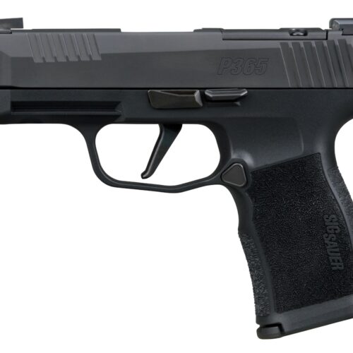 Sig Sauer 365XL380COMP10 P365XL 380 ACP 10+1 3.10" Black Ported Barrel, Black Nitron Stainless Steel Optic Cut/Ported/Serrated Slide, Black Stainless Steel Frame w/Picatinny Rail, Textured Grip, SIG-L