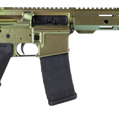 Shark Coast Tactical SCC07138CAI-P Caiman 5.56 NATO 30+1 10.50" Black Nitride Threaded Barrel, Aluminum Receiver w/Picatinny Rail, M-LOK Handguard, Polymer SB Tactical SBA3 Brace, Magpul MOE Grip, Rig